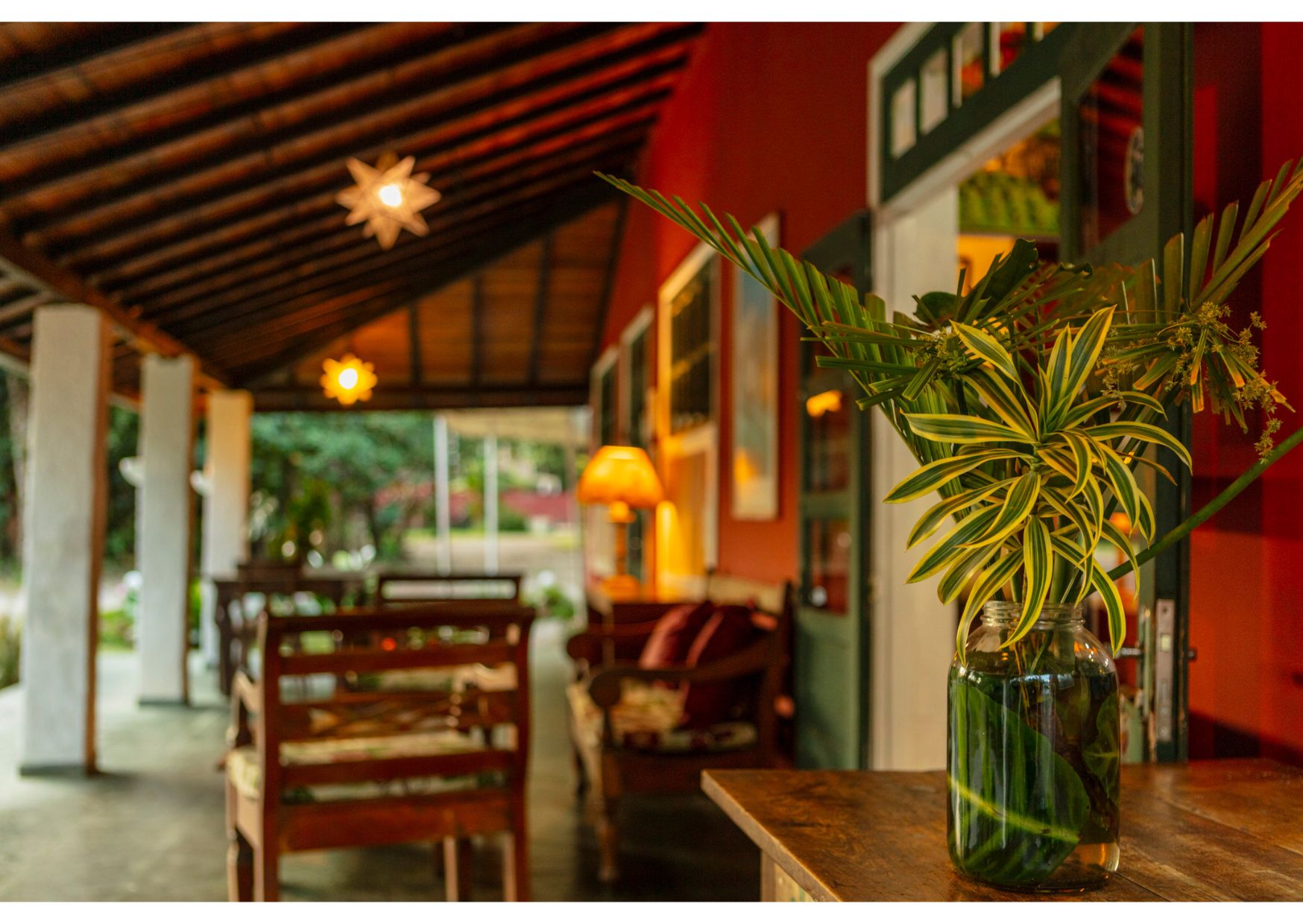 nosso-ambiente-8
